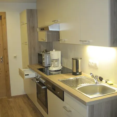 豪斯尚内齐酒店 *